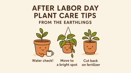 After Labor Day Plant Care Tips from the Original Earthlings 🍂