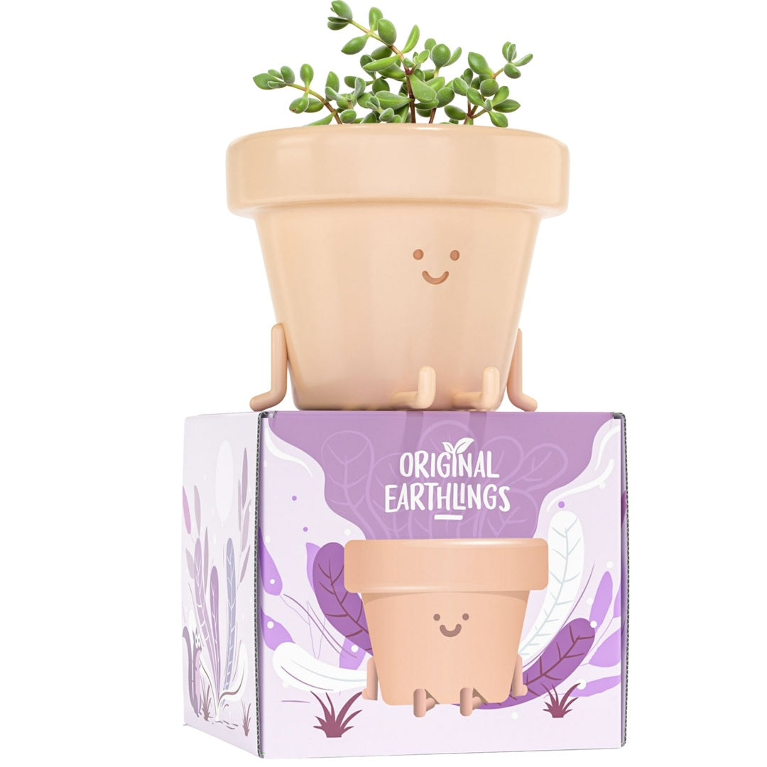 pots with legs for plants Original Earthlings Legs Out Pot - 3.5 Inch Cute Plant Pot - Plastic Funny Planter with Drainage - Unique Cactus Plant Lover Gift