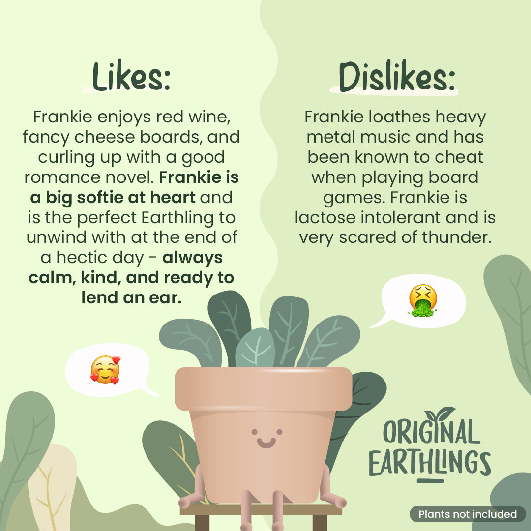 Frankie: Sitting Plant Pot