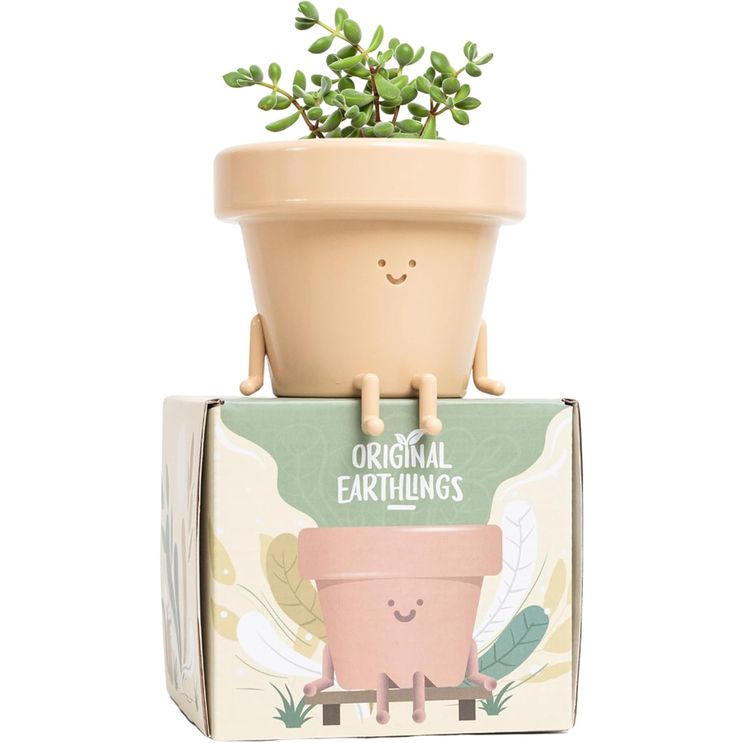 cute pots for indoor plants Frankie: Sitting Plant Pot – originalearthlings