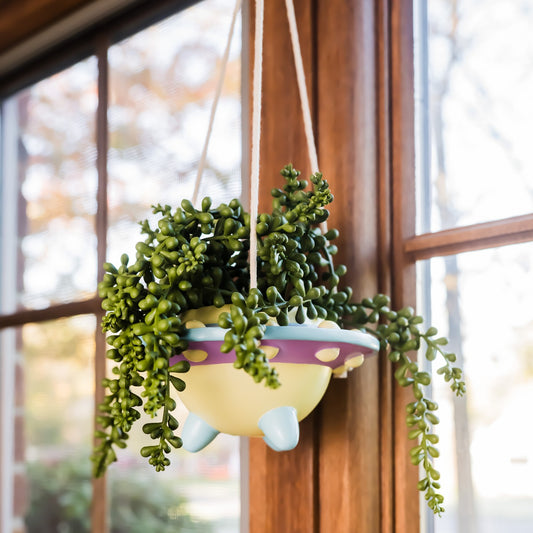 Rosie: UFO Hanging Plant Pot