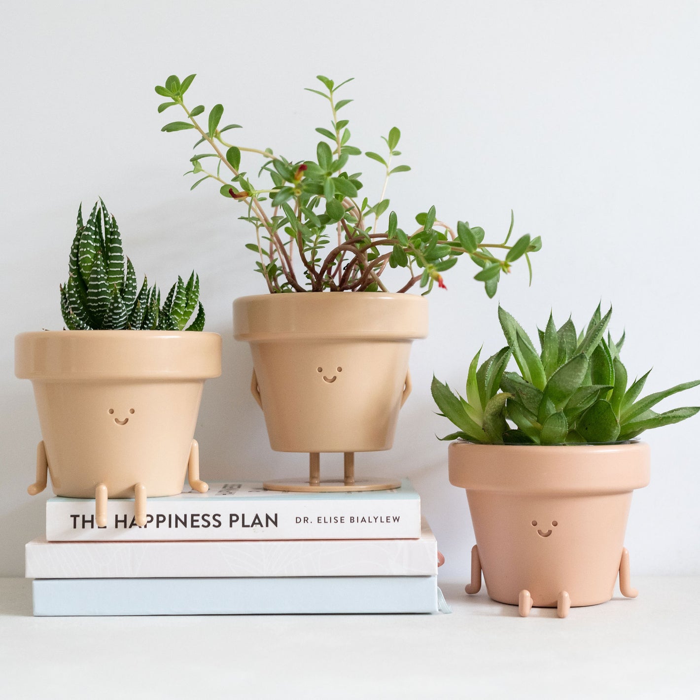 Earthling Box Original Earthlings - The Happiest Little Plant Pots On Earth ...