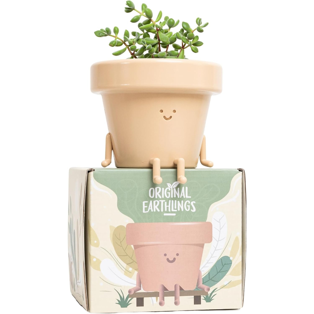 Frankie: Sitting Plant Pot