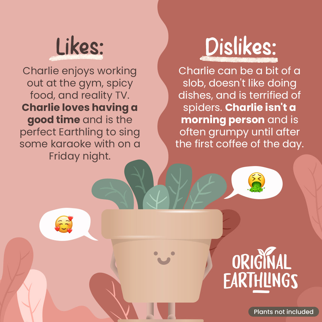 Charlie: Standing Plant Pot