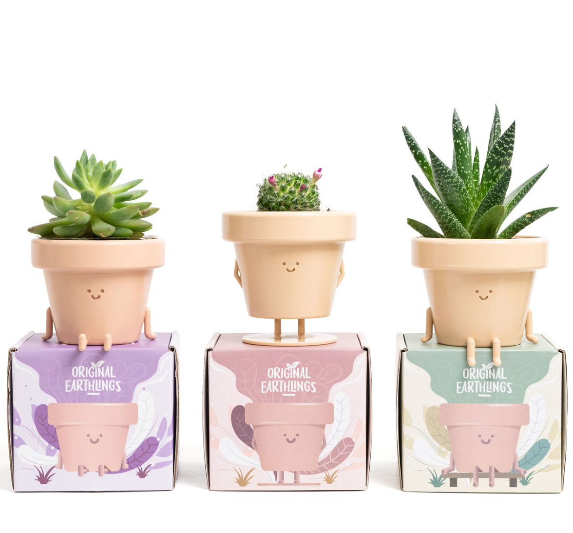 Earthling Box Original Earthlings - The Happiest Little Plant Pots On Earth ...