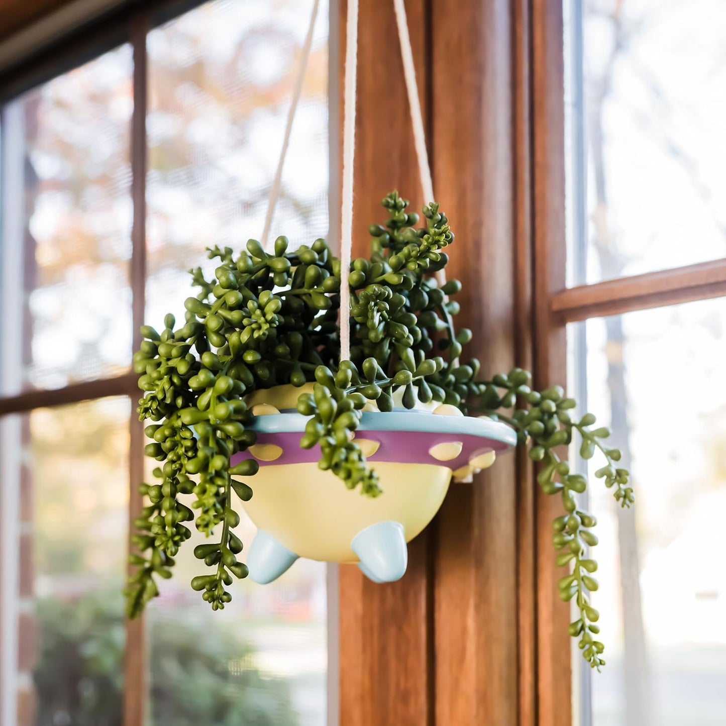 Rosie: UFO Hanging Plant Pot