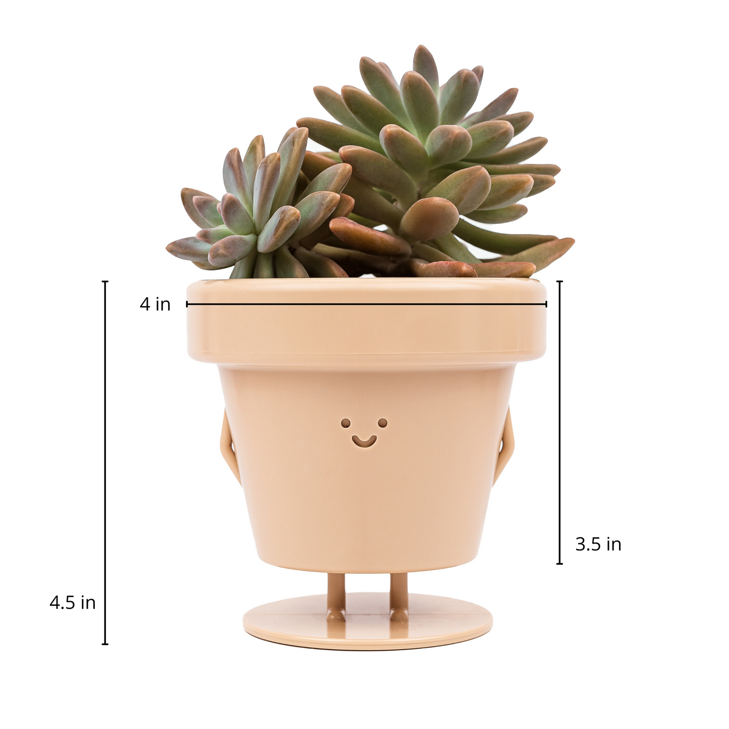 Charlie Standing Pot